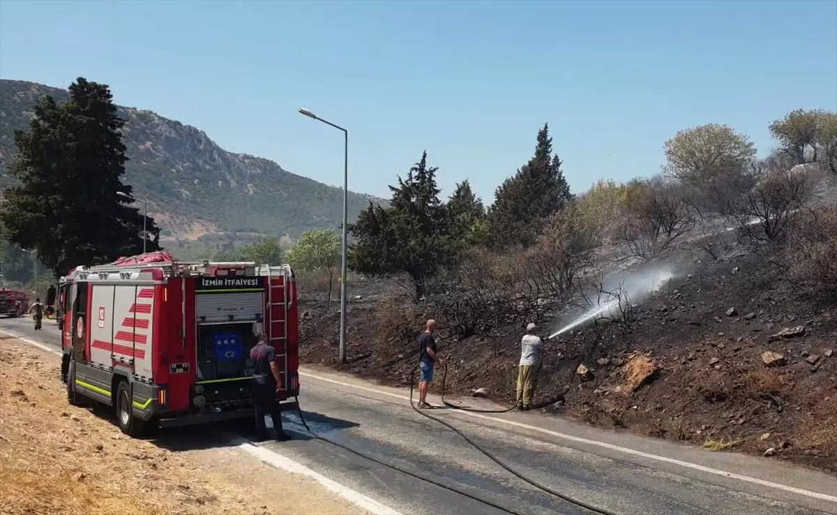 Efes Antik Kenti Girişi Yakınlarında Yangın Çıktı