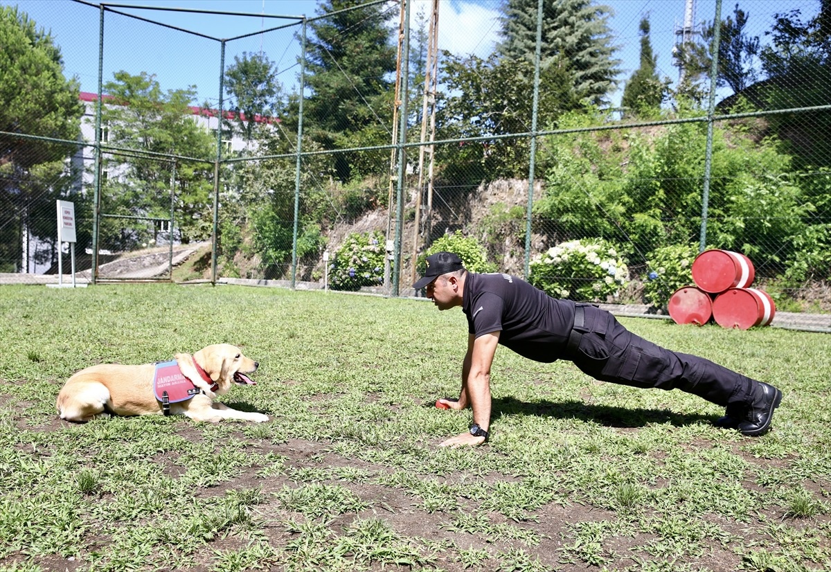 Giresun\'da Dedektör Köpeklerin Eğitimine Devam Ediliyor