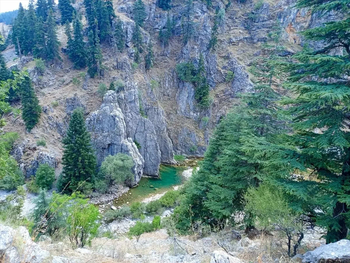 Konya\'da çaya giren çocuk boğuldu