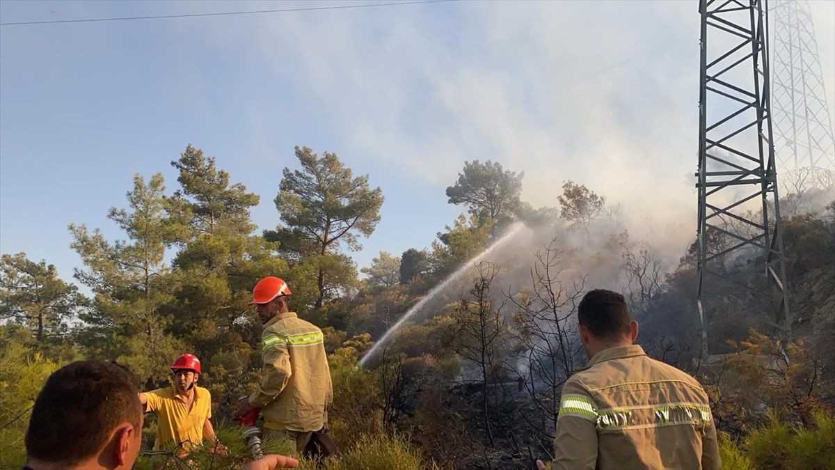 Marmaris\'te çıkan orman yangını kontrol altına alındı