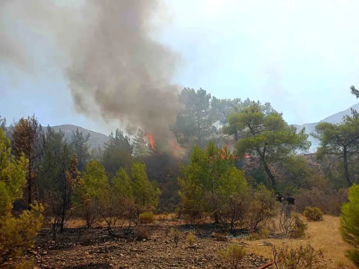 Marmaris Aksaz Deniz Üs Komutanlığı\'nda Orman Yangını