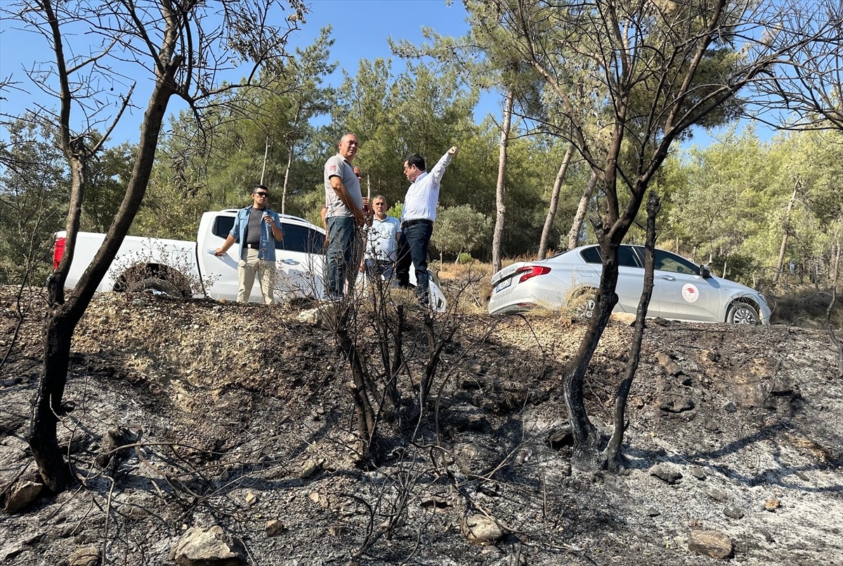 Muğla\'da çıkan yangında 60 hektar ormanlık alan zarar gördü