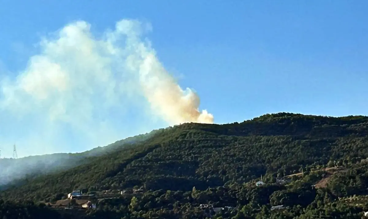 Sakarya\'da yüksek gerilim hattının kopması sonucu çıkan yangın kontrol altına alındı