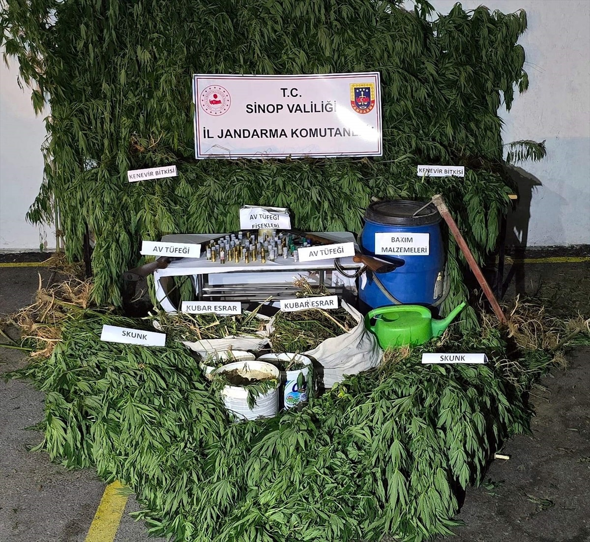 Sinop\'ta 6 Kilo 400 Gram Esrar Ele Geçirildi
