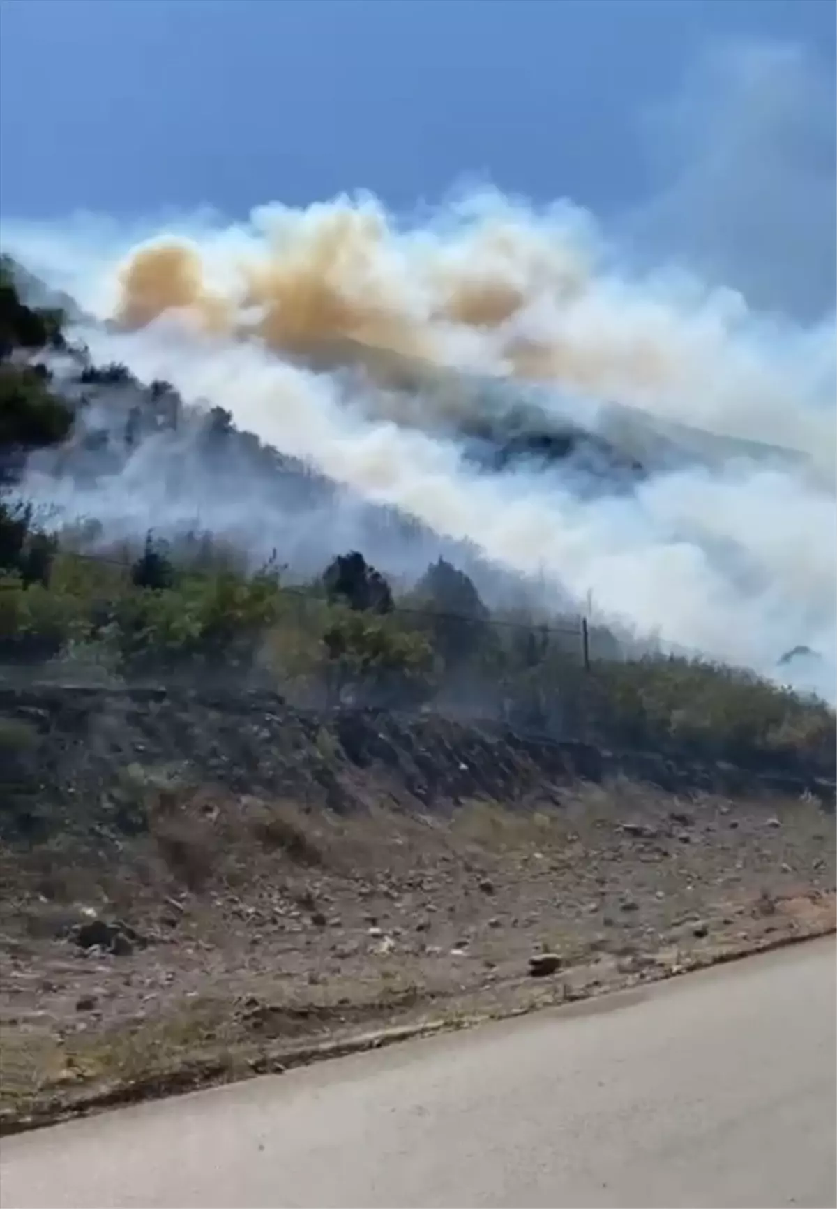 Tokat\'ın Turhal ilçesinde orman yangını söndürüldü