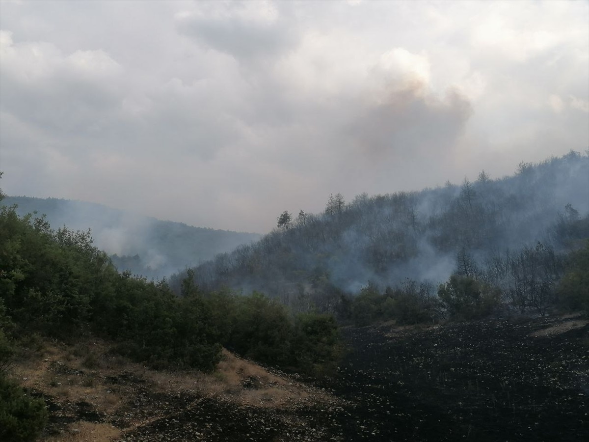 Tokat\'ın Erbaa ilçesinde ormanlık alanda yangın çıktı