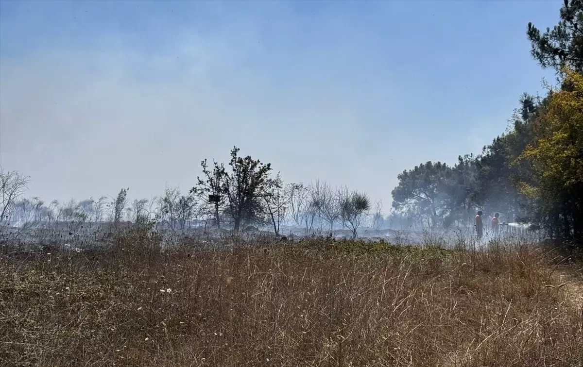 Tuzla\'da ağaçlık alanda çıkan yangına itfaiye müdahale ediyor