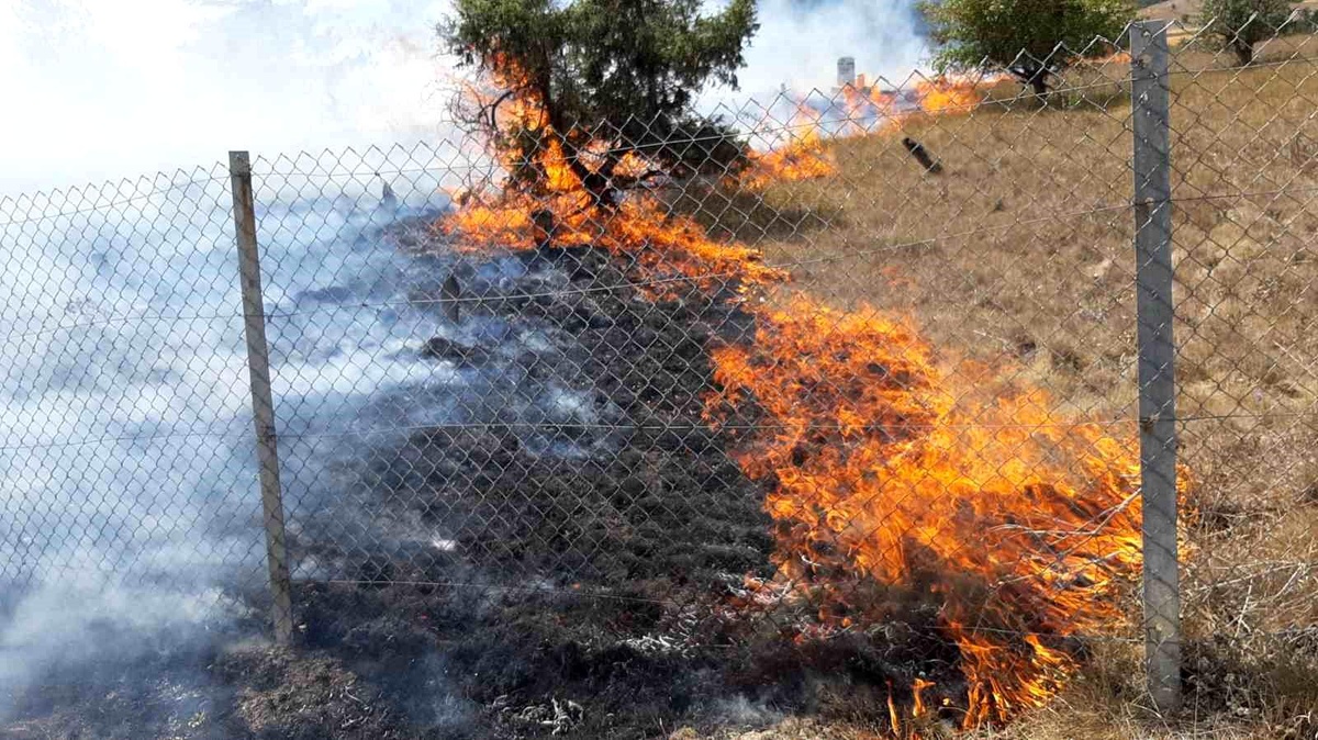 Mudurnu\'da Anız Yangını: 4 Tarla ve Mezarlık Küle Döndü