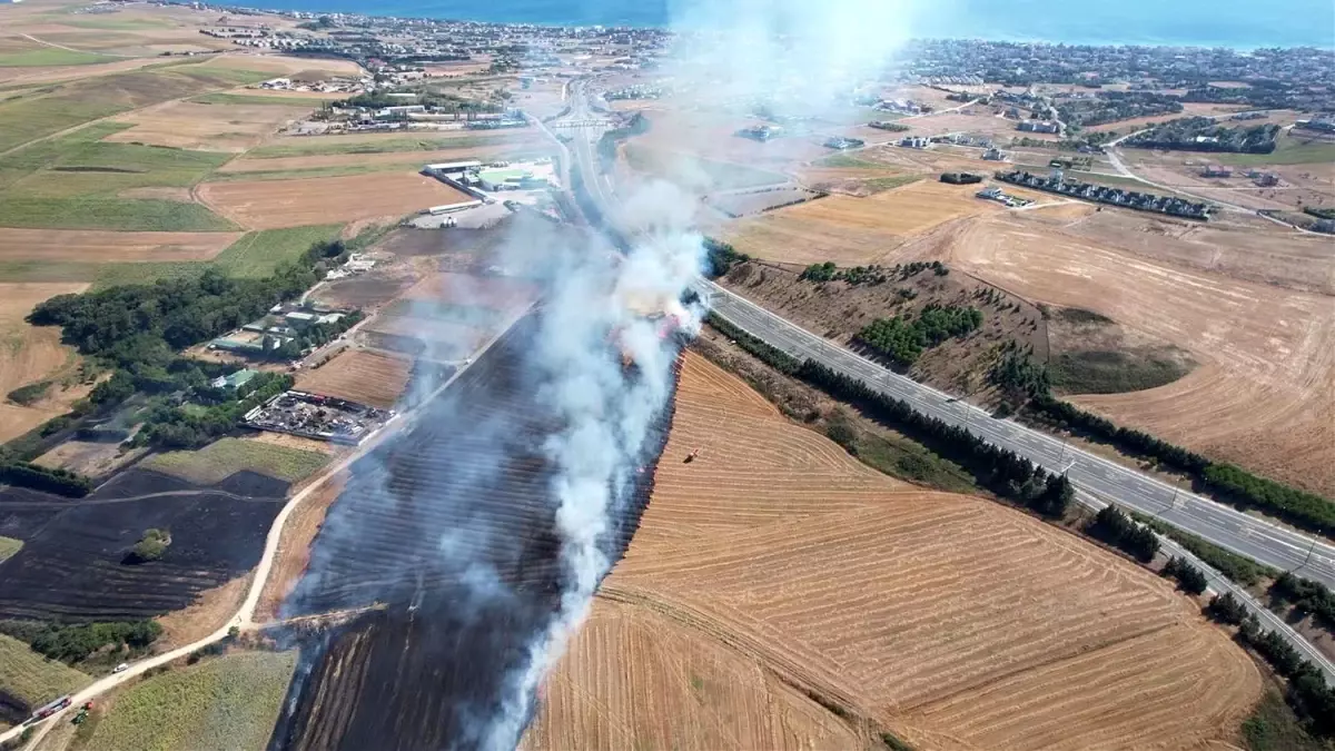 İstanbul Büyükçekmece\'de Boş Arazi Yangını