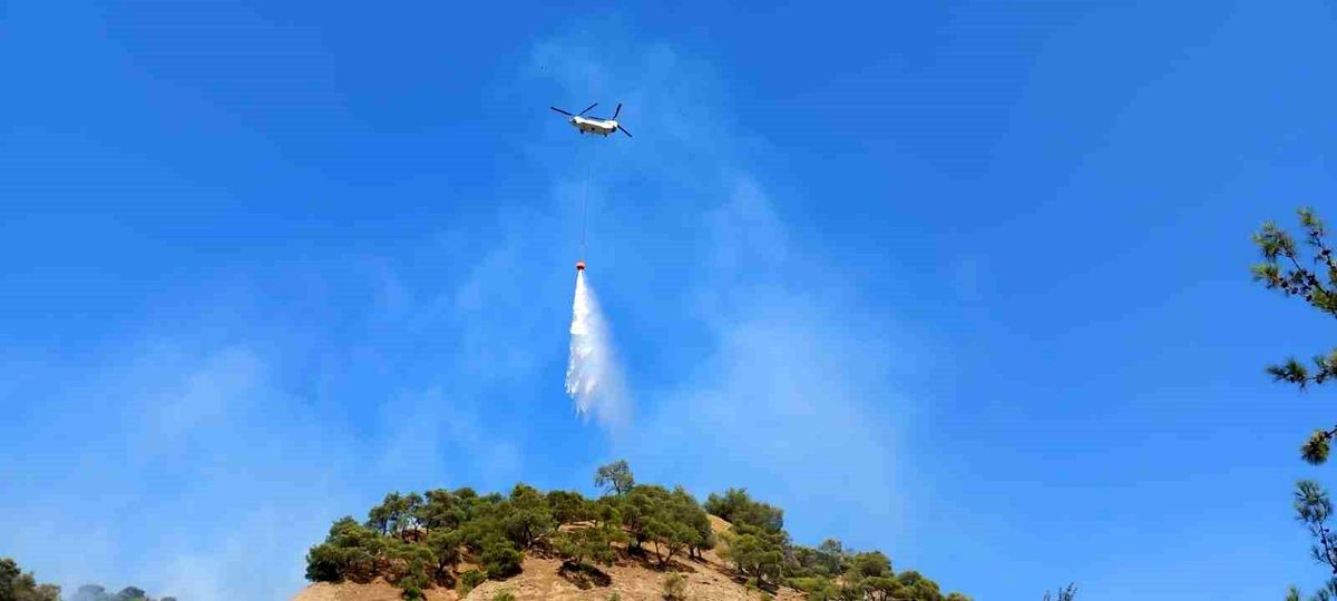 Manisa\'da çıkan orman yangınına müdahale devam ediyor