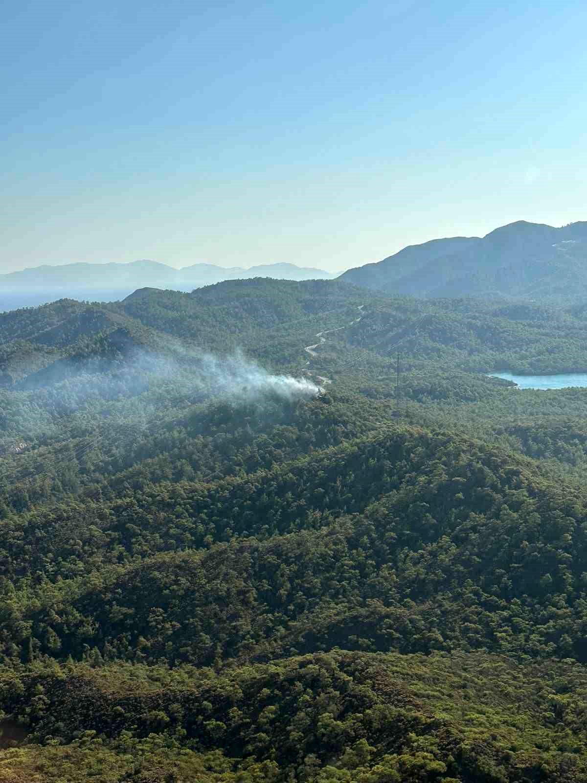 Muğla\'da ormanlık alanda yangın çıktı