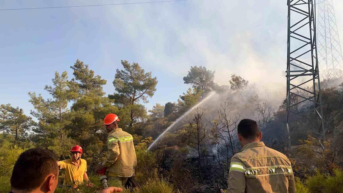 Muğla\'da Orman Yangını Kontrol Altına Alındı