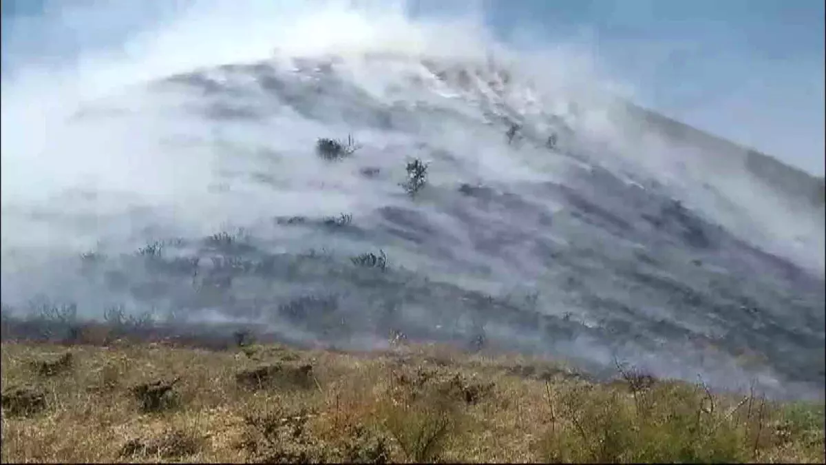 Tunceli\'nin Pülümür ilçesinde çıkan yangın kontrol altına alındı