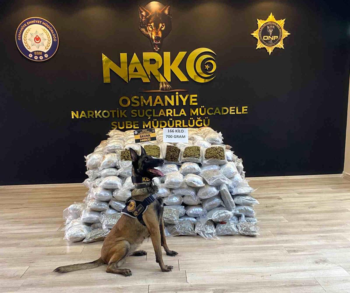 Osmaniye\'de Tırda Skunk Ele Geçirildi, 1 Kişi Tutuklandı
