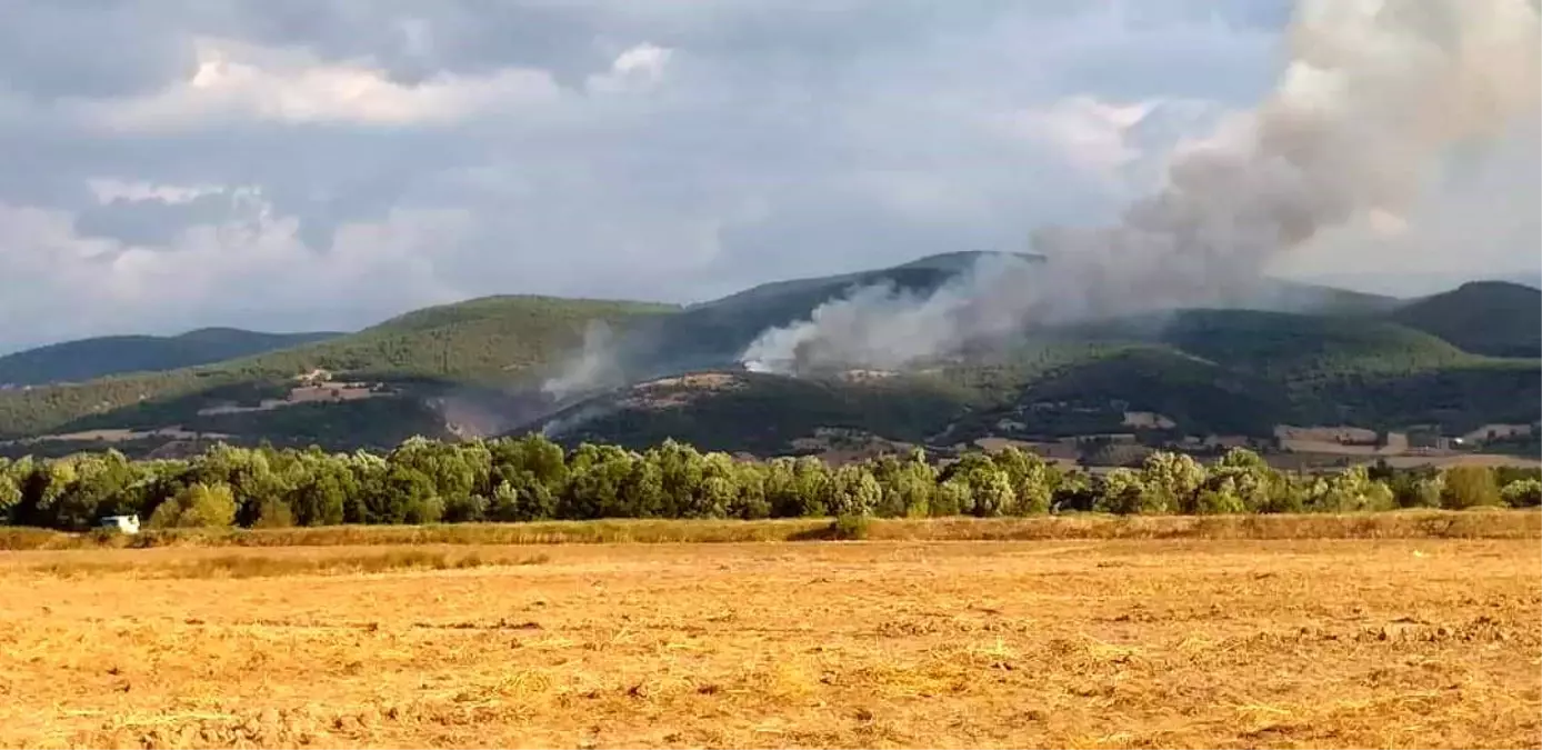 Tokat\'ın Erbaa ilçesinde orman yangını: 20 dönüm alan kül oldu