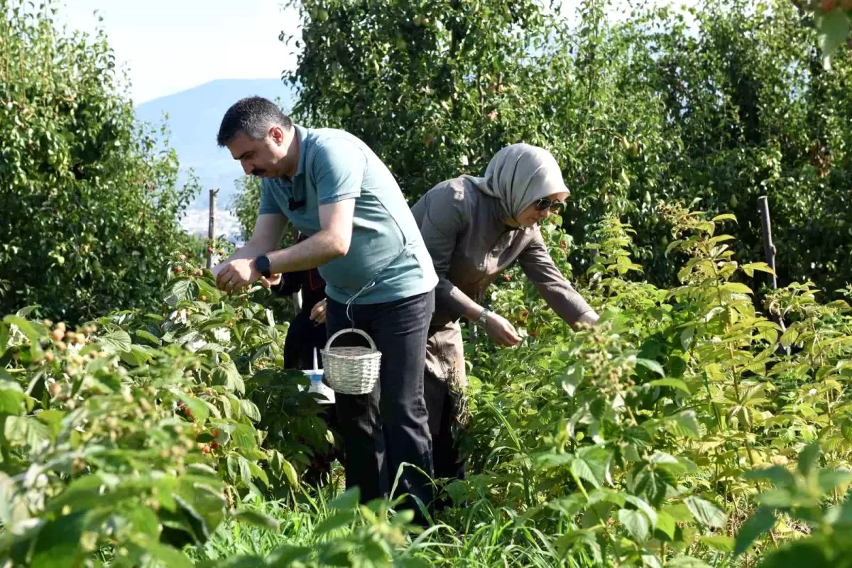 Yıldırım Belediye Başkanı Oktay Yılmaz, Cumalıkızık Kadın Kooperatifi\'nde Üretici Kadınlarla Buluştu