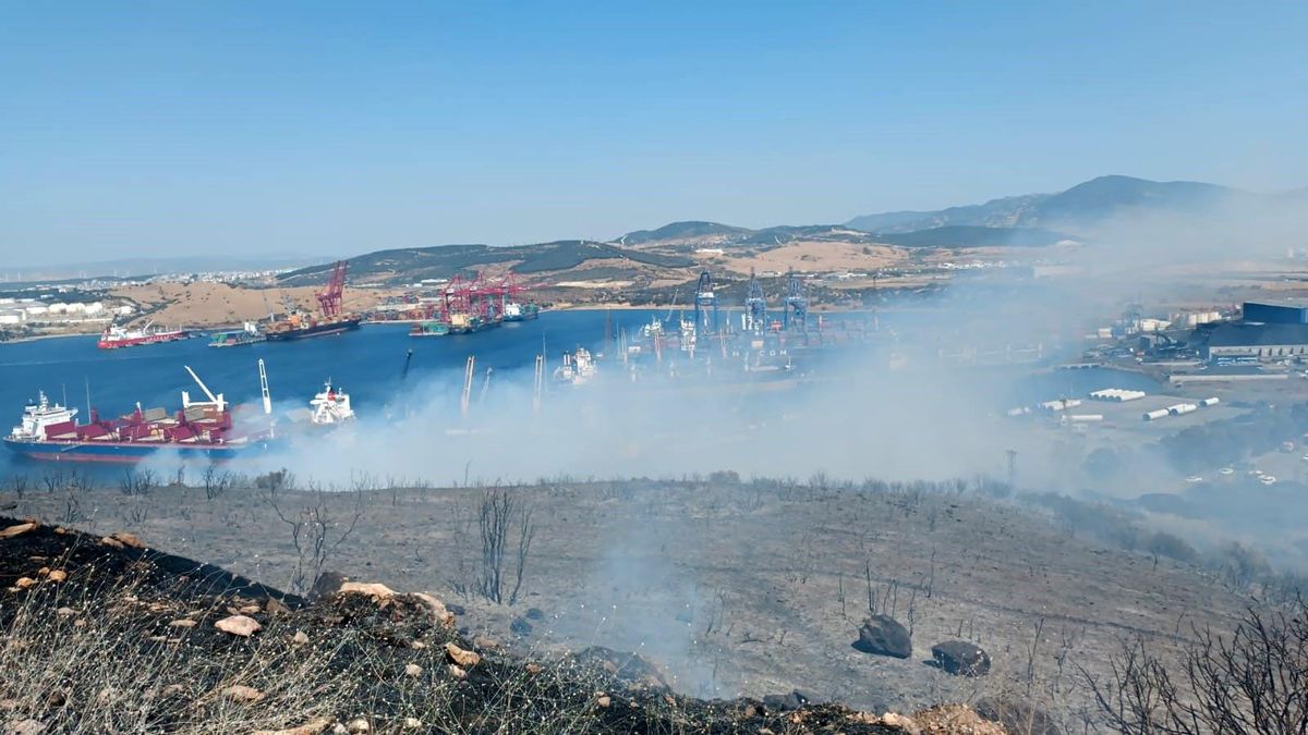 İzmir Aliağa\'da çıkan orman yangını kontrol altına alındı