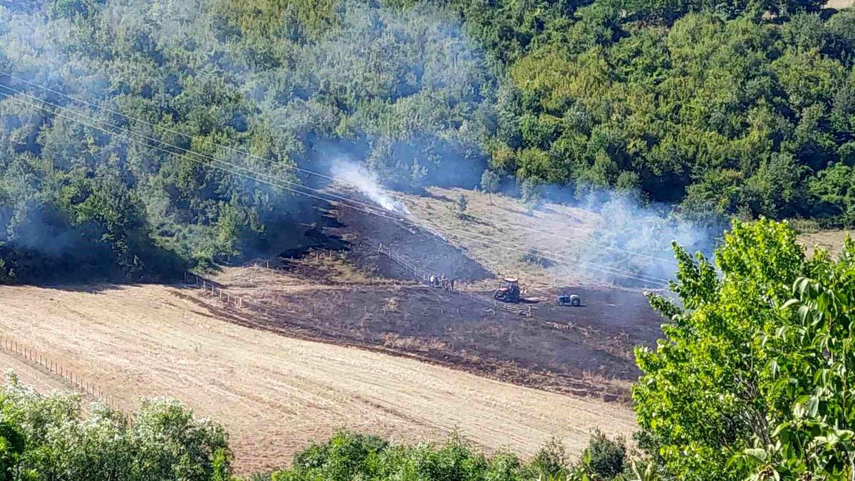 Samsun\'da anız yangını ormanlık alana sıçramadan söndürüldü