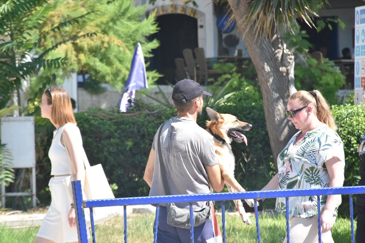 Antalya\'da Falezlerden Düşen Köpek Kurtarıldı