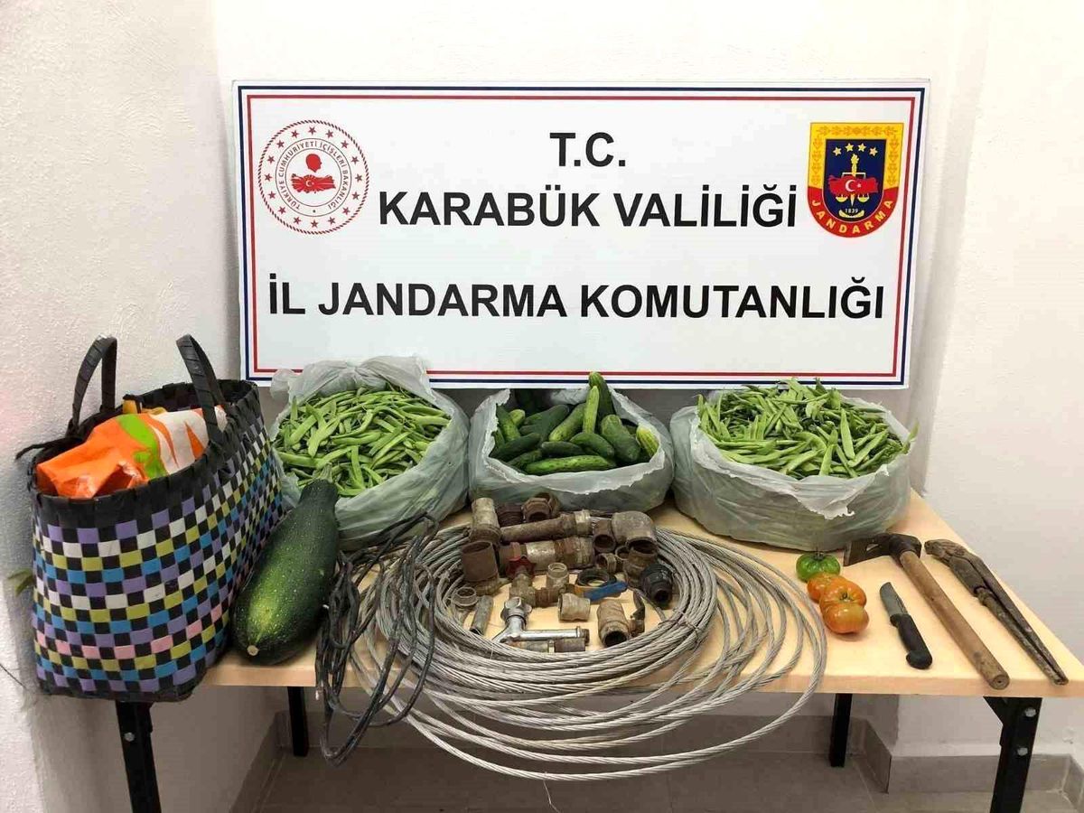 Safranbolu\'da Hırsızlık Yapan Şahıslar Sebzelerle Yakalandı