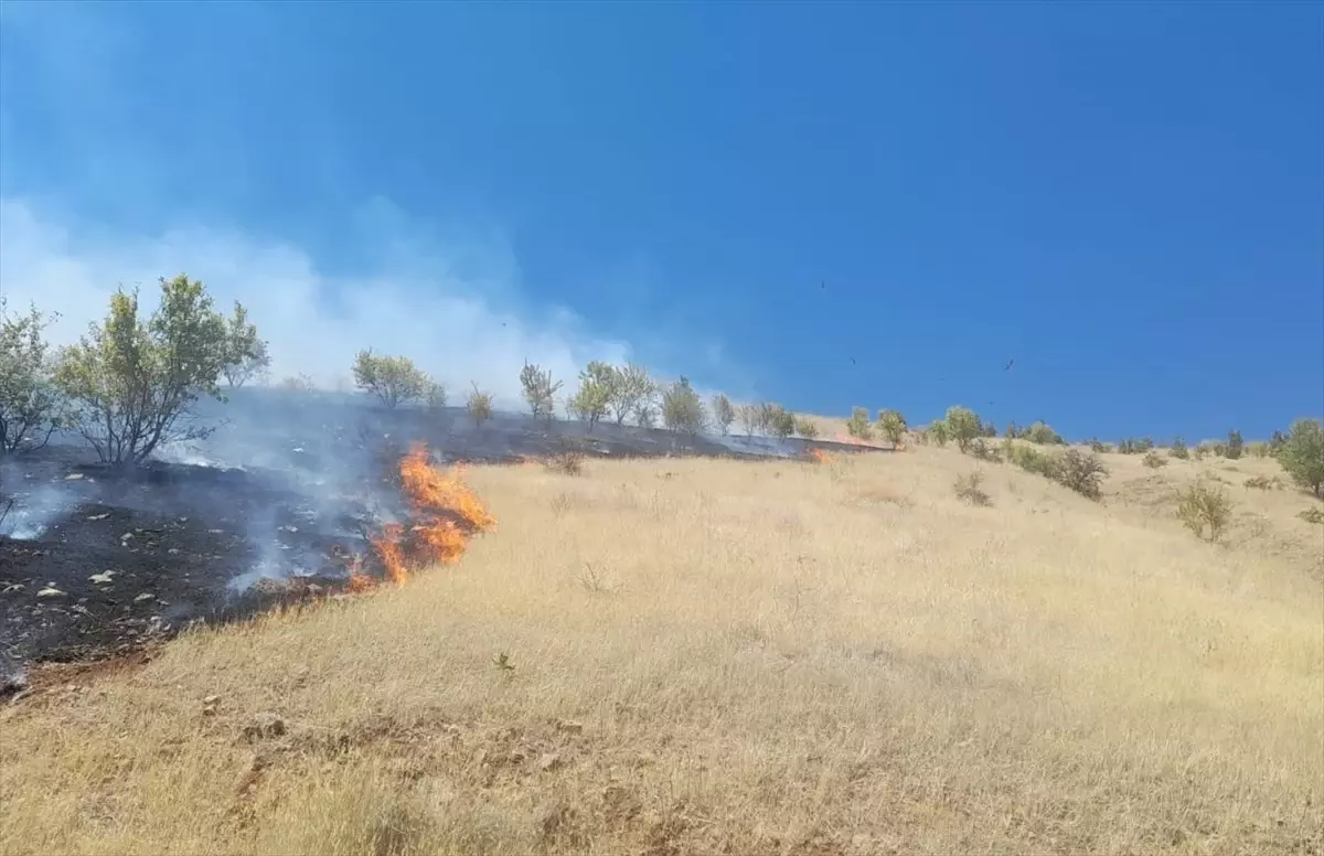 Elazığ\'da çıkan yangın kontrol altına alındı