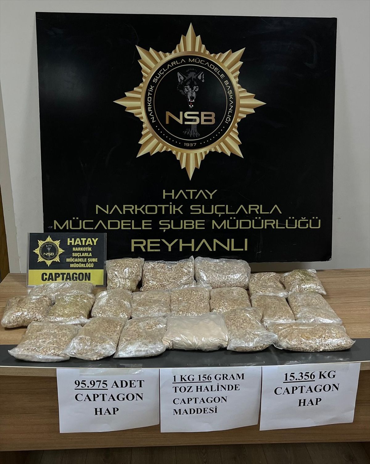 Hatay\'da 95 bin 975 sentetik hap ve 1 kilo 156 gram uyuşturucu bulunan zanlı tutuklandı