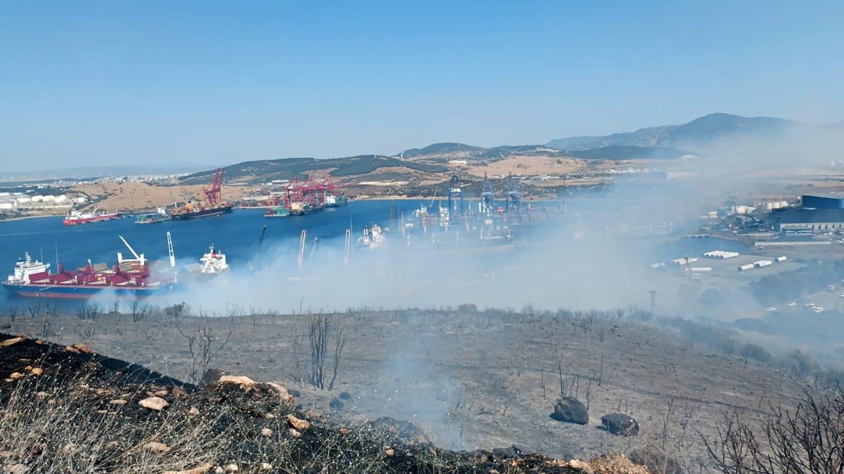 İzmir Aliağa\'da Ormanlık Alanda Yangın Çıktı