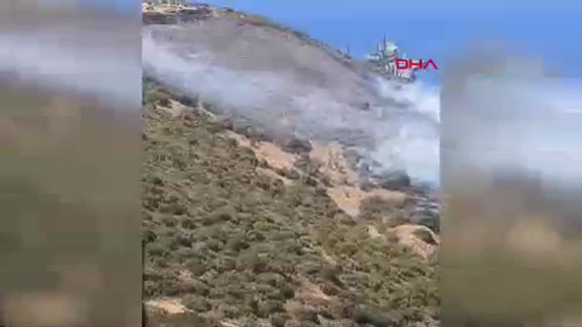 İzmir Aliağa\'da Orman Yangını Çıktı