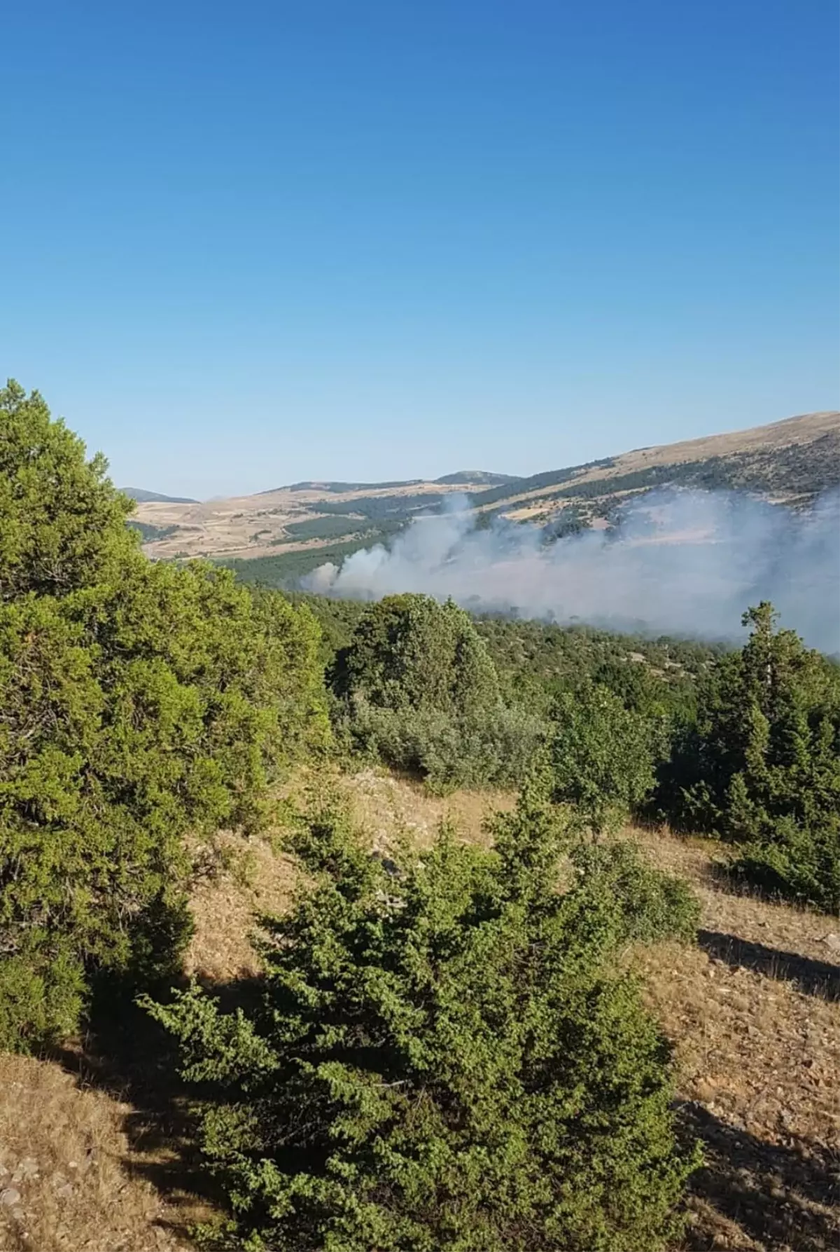 Ilgın\'da çıkan yangın söndürüldü, 2 kişi gözaltına alındı