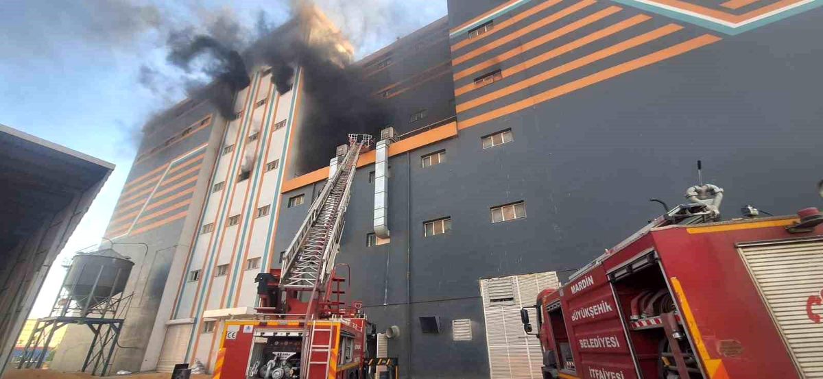 Mardin Organize Sanayi Bölgesi\'nde Un Fabrikasında Yangın Çıktı