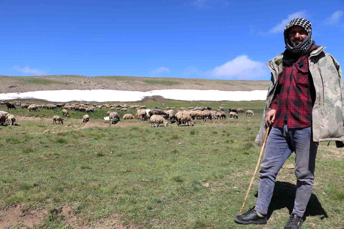 Tarımsal Örgütlenmede Etkili Olan Faktörlerin Belirlenmesi (Erzurum İli Örneği)