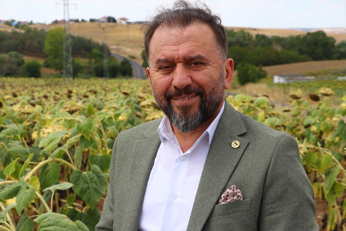 Rusya\'ya Ayçiçek Tohumu İhracatında Talep Artıyor