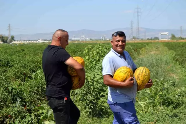 Manisa'da Ücretsiz Kavun ve Karpuz Dağıtımı