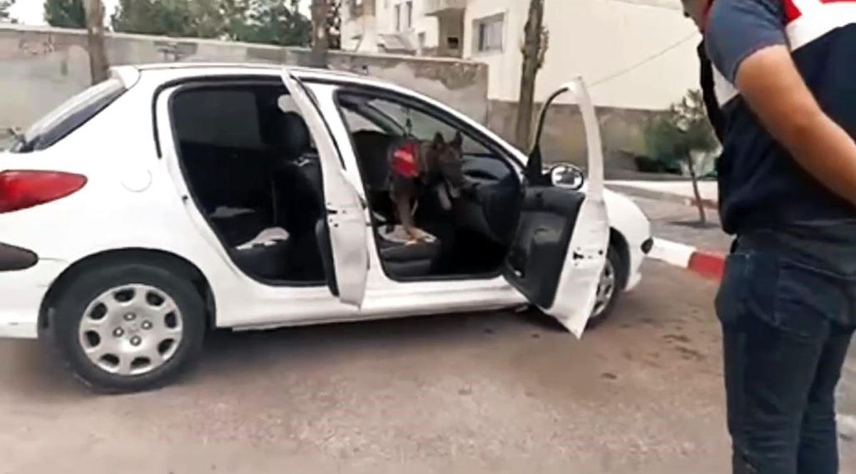 Van\'da Yabancı Plakalı Araçta Uyuşturucu Ele Geçirildi