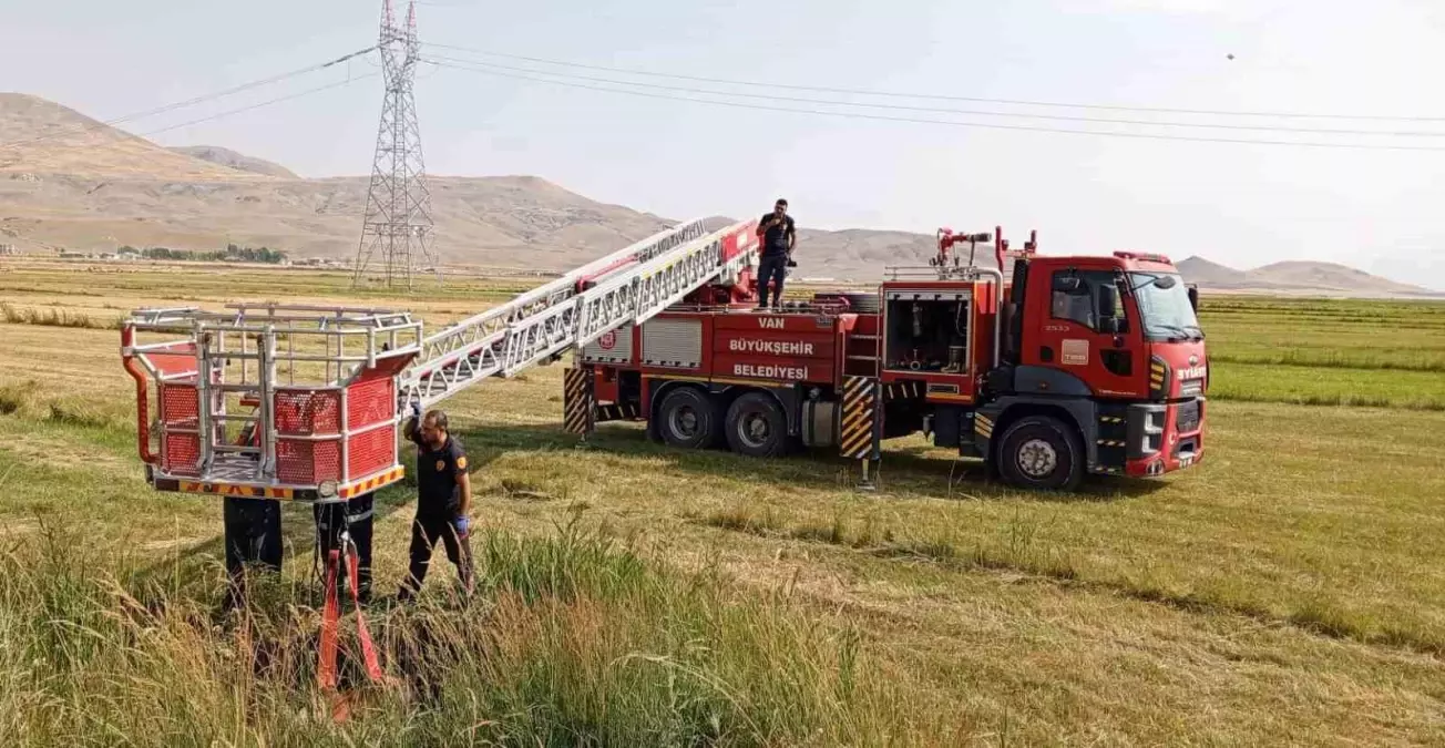 Van\'da kuyuya düşen inek itfaiye ekipleri tarafından kurtarıldı