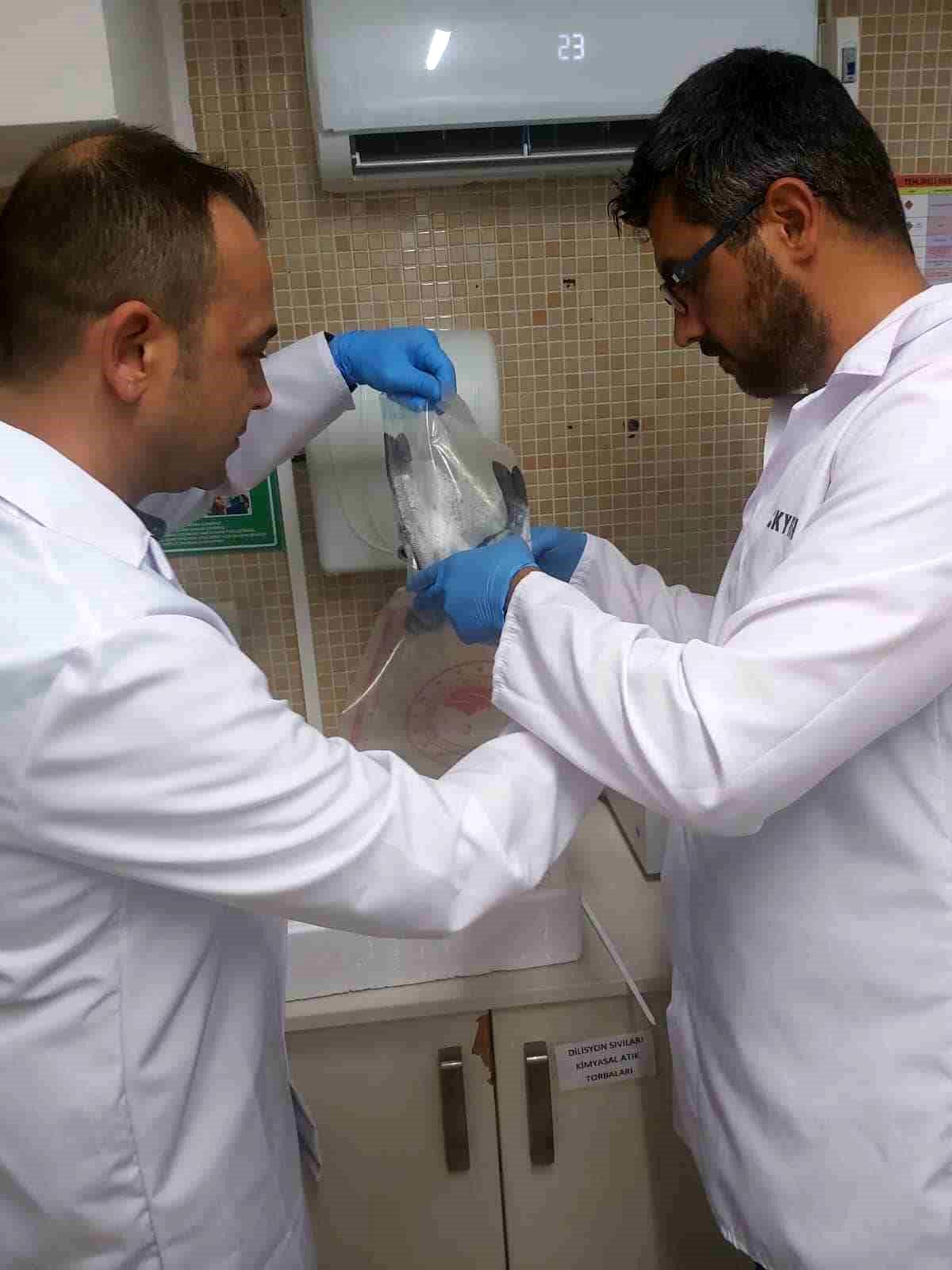 Aydın\'dan Rusya\'ya 13 Bin 776 Kilogram Balık İhracatı