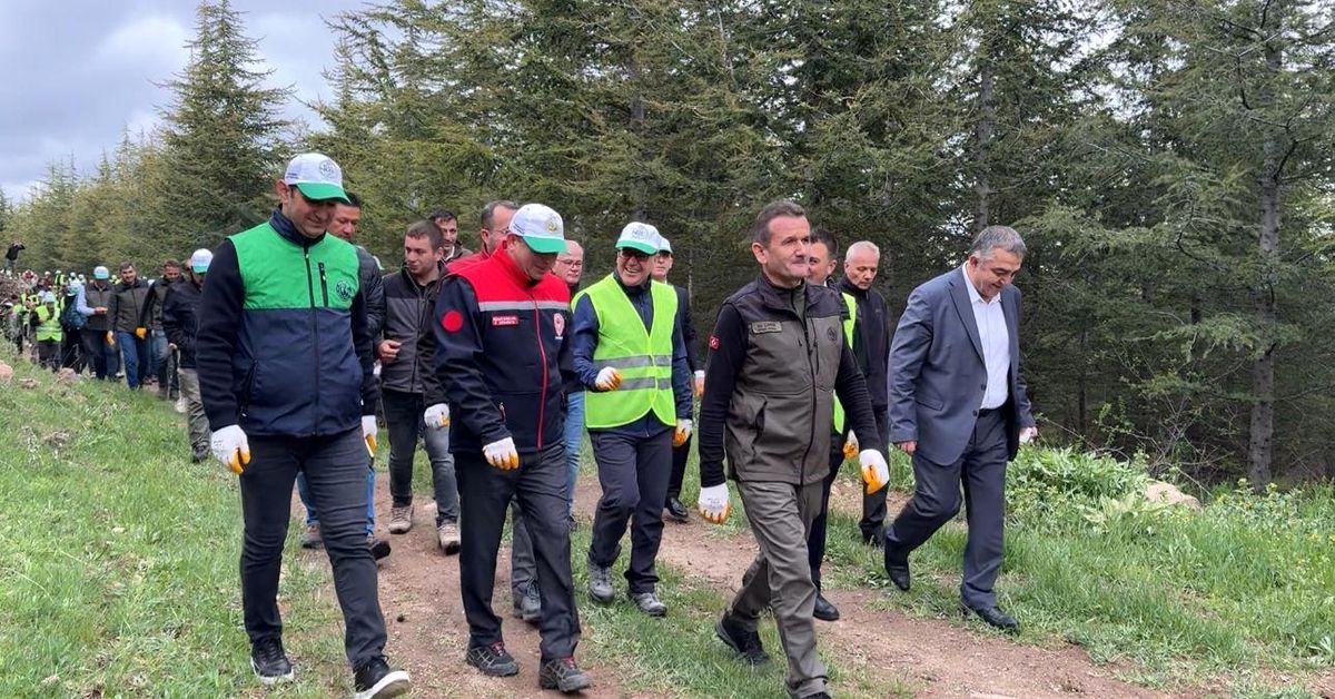 Hacılar\'da Son 10 Yılda 2 Milyon Ağaç Dikildi