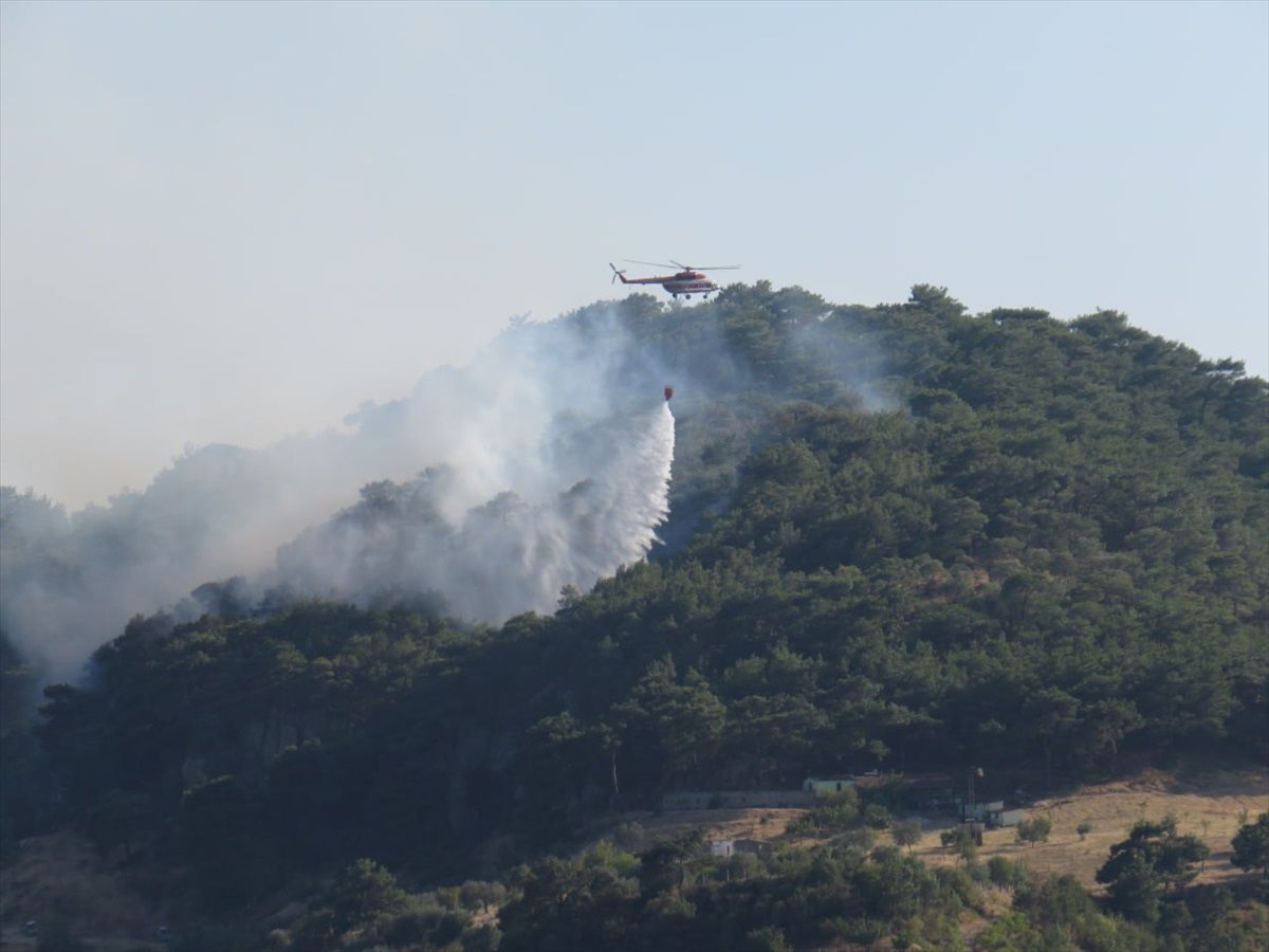 Çanakkale\'deki Orman Yangını Kontrol Altına Alındı