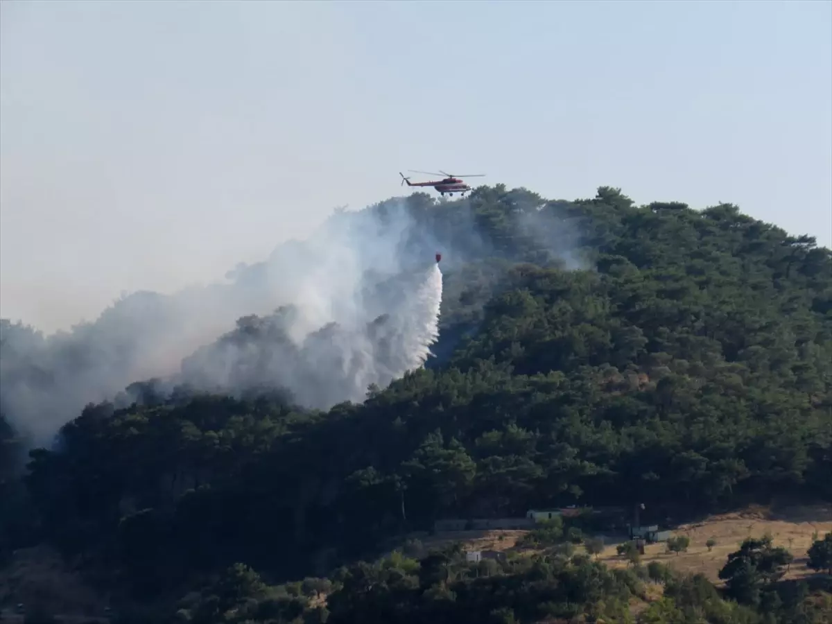 Çanakkale\'de Orman Yangınına Havadan ve Karadan Müdahale