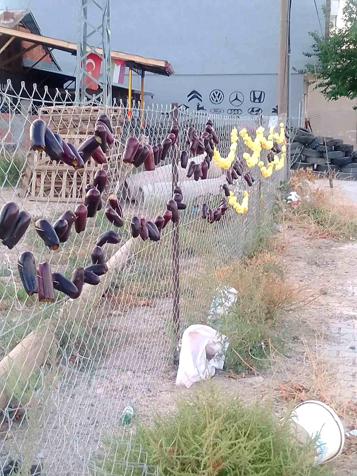Elazığ\'da Kurutmalık Sebze Sezonu Başladı