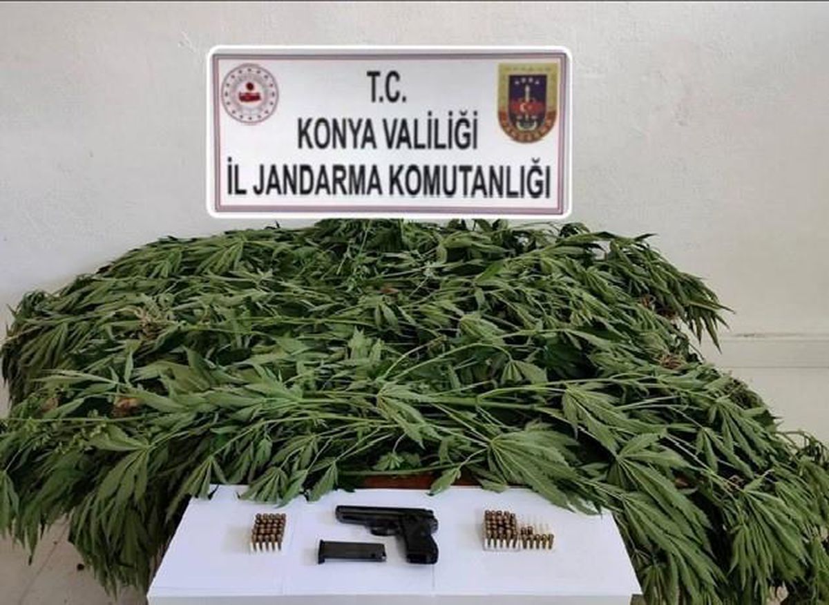 Konya\'da Uyuşturucu Operasyonu: Kenevir ve Silah Ele Geçirildi