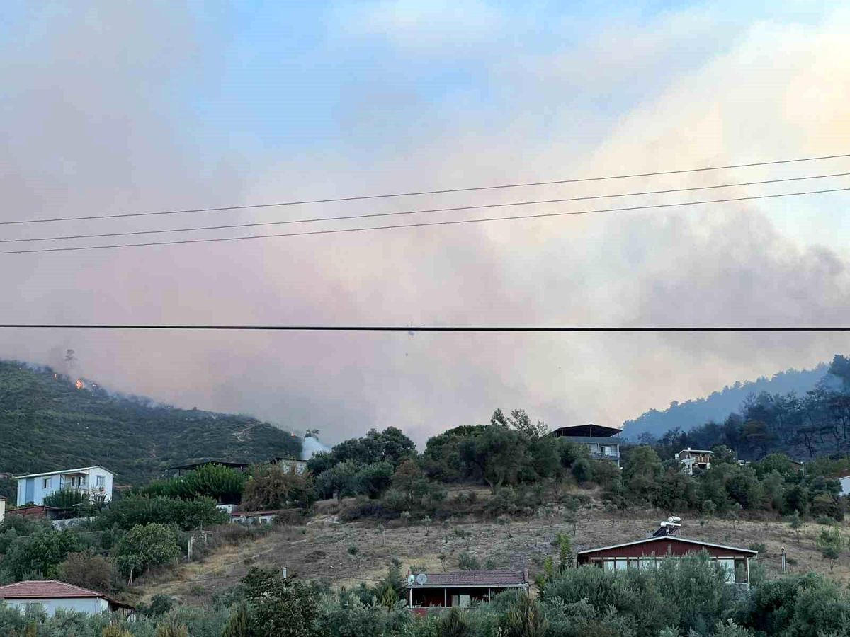 Manisa\'da çıkan orman yangını kontrol altına alındı