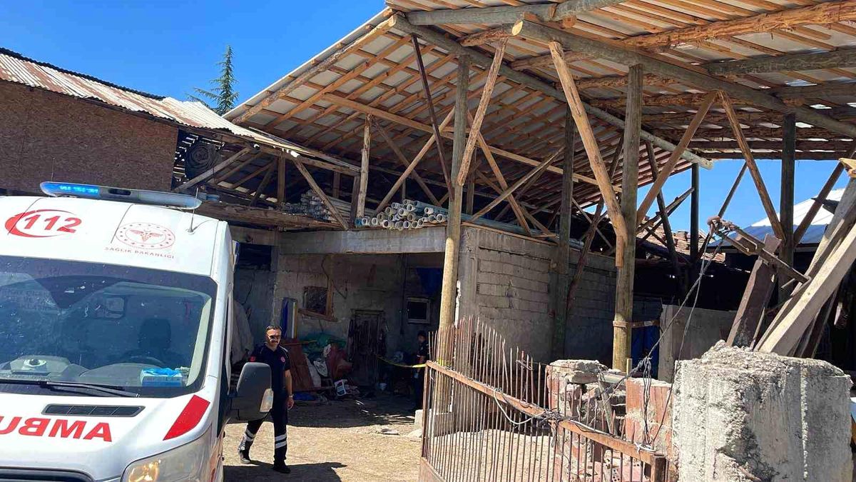 Bolu\'da Samanlık Tamiri Yapan Usta Hayatını Kaybetti