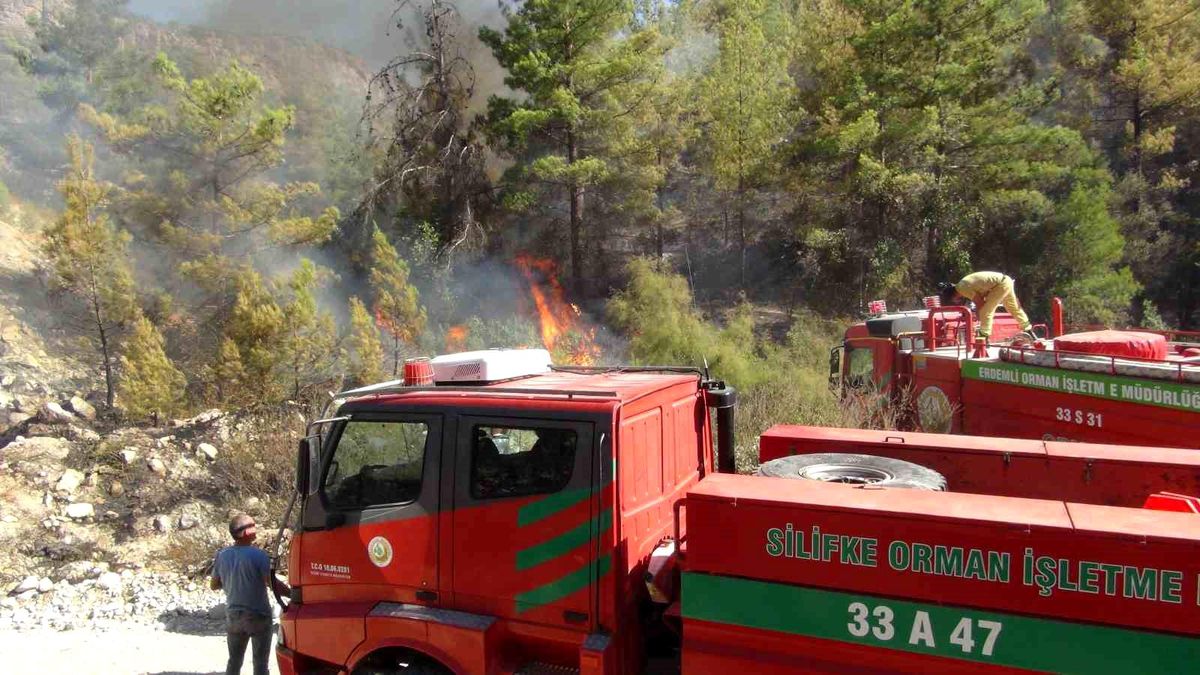 Silifke\'de çıkan yangın kontrol altına alındı