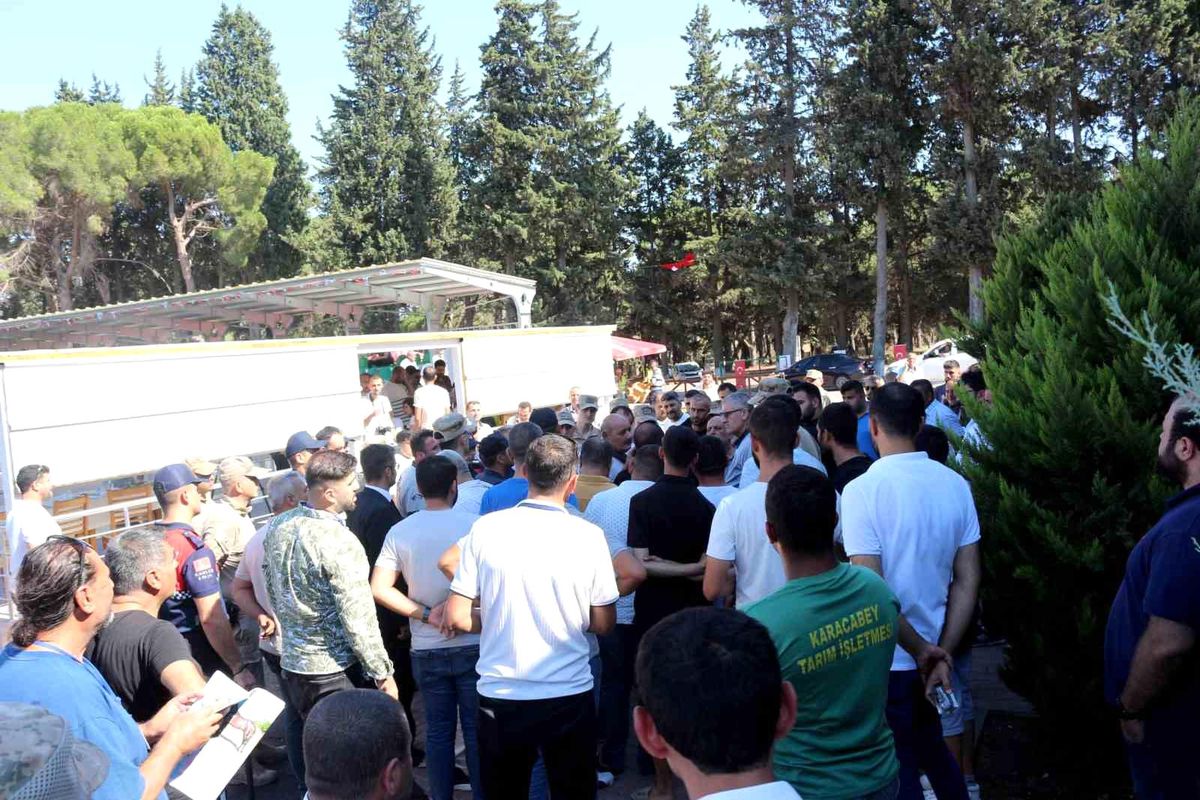 Karacabey Harası\'nda 54 Tayın Satışından 20 Milyon 845 Bin Lira Gelir Elde Edildi