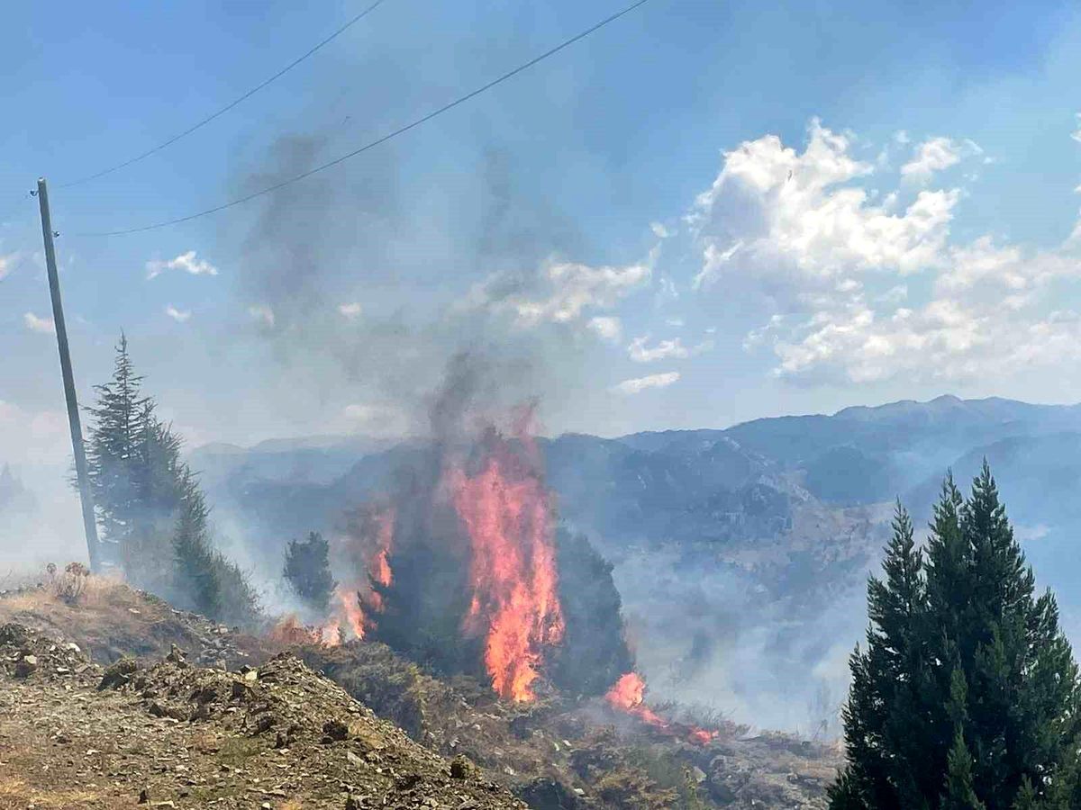 Alanya\'da çıkan yangın kontrol altına alındı