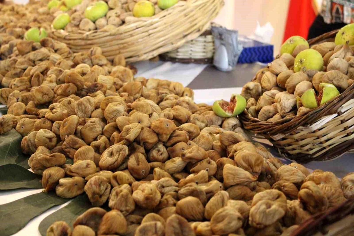 Aydın\'da Kuru İncir Hasat Sezonu Başladı