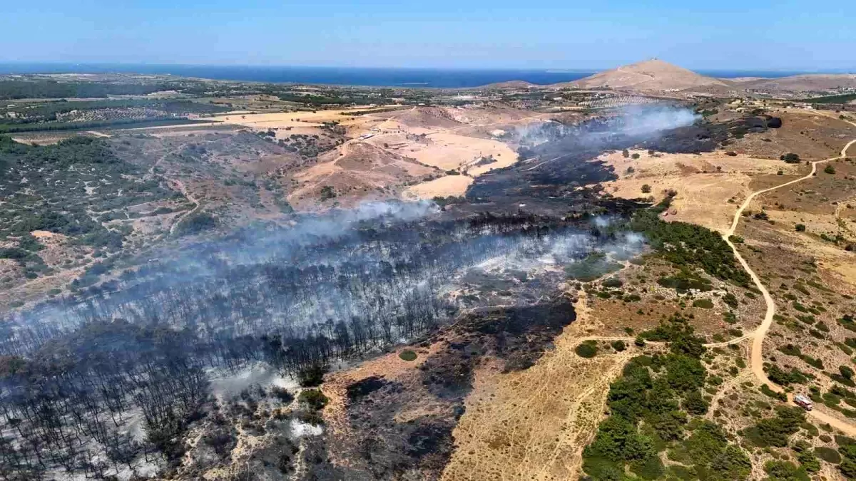 Çanakkale Bozcaada\'da çıkan yangın kontrol altına alındı