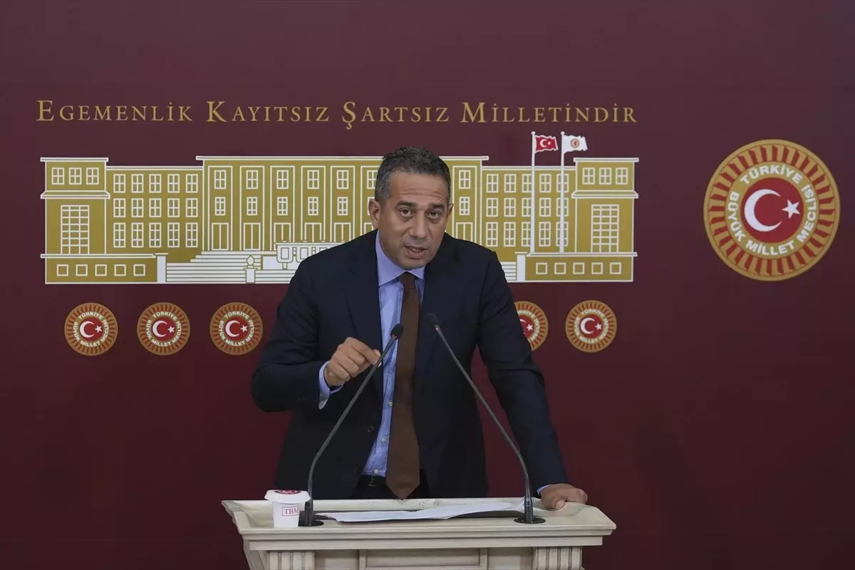 CHP, sahipsiz hayvanlara yönelik kanunun iptali için Anayasa Mahkemesine başvuracak