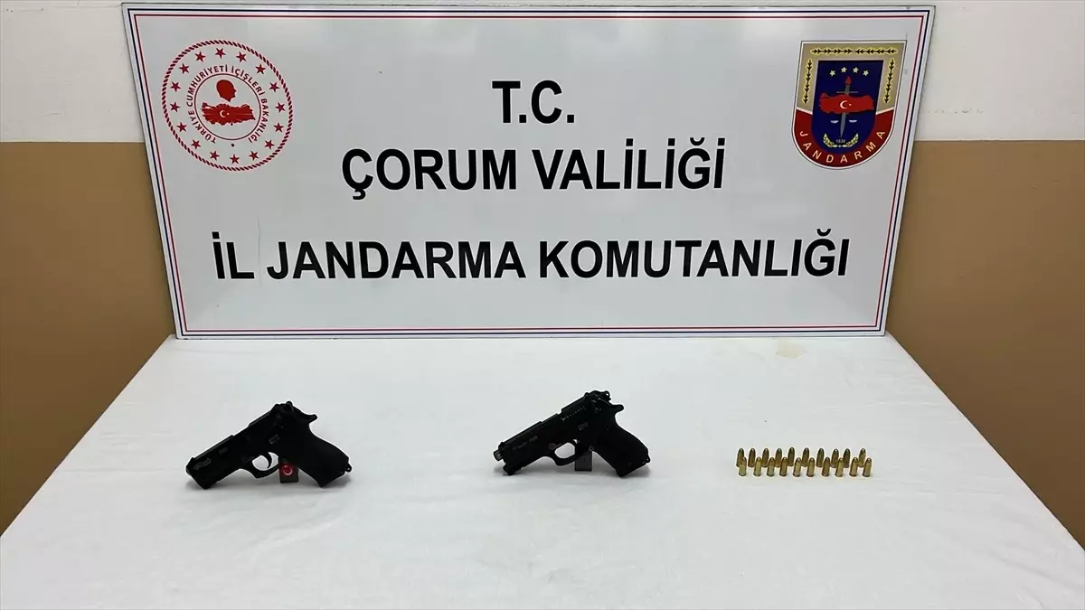 Çorum Alaca\'da Jandarma Bomba Arama Köpeği İle Silah Ele Geçirildi